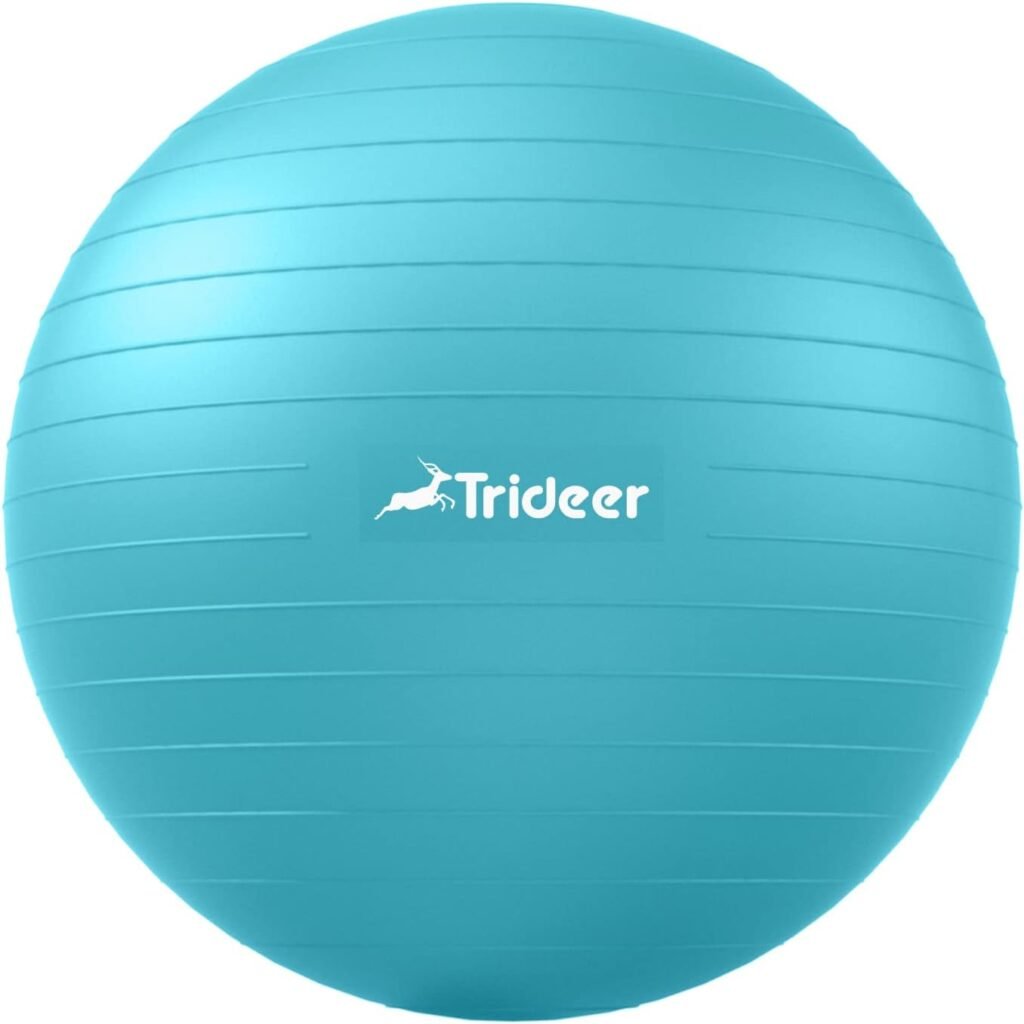 Extra Thick Heavy Duty Gym Ball, Ball Chair for Balance Exercise